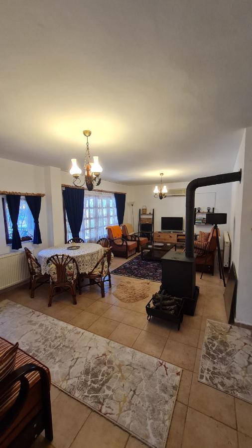 Antik House İznik Villa Dış mekan fotoğraf