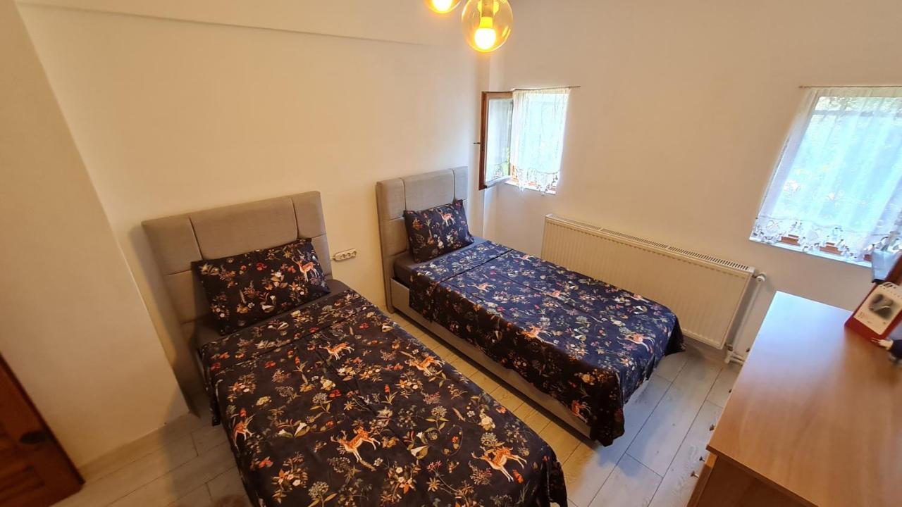 Antik House İznik Villa Dış mekan fotoğraf